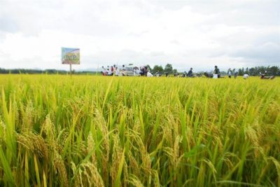 Đối tác 02